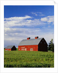 Old Red Barn in Field by Anonymous