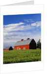 Old Red Barn in Field by Anonymous