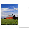 Old Red Barn in Field by Anonymous