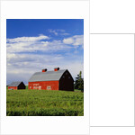Old Red Barn in Field by Anonymous