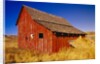 Weathered Old Barn on Ranch by Anonymous