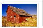 Weathered Old Barn on Ranch by Anonymous