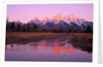 Snow-Capped Mountains at Daybreak by Anonymous