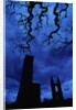St. Andrew's Cathedral Under Gloomy Sky by Anonymous