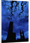 St. Andrew's Cathedral Under Gloomy Sky by Anonymous