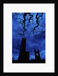 St. Andrew's Cathedral Under Gloomy Sky by Anonymous
