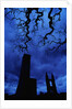 St. Andrew's Cathedral Under Gloomy Sky by Anonymous
