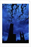 St. Andrew's Cathedral Under Gloomy Sky by Anonymous