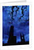 St. Andrew's Cathedral Under Gloomy Sky by Anonymous
