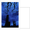 St. Andrew's Cathedral Under Gloomy Sky by Anonymous