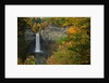 Waterfall Amongst Autumn Foliage by Anonymous