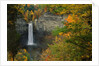 Waterfall Amongst Autumn Foliage by Anonymous