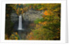 Waterfall Amongst Autumn Foliage by Anonymous