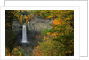 Waterfall Amongst Autumn Foliage by Anonymous