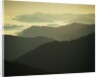 Great Smoky Mountains by Anonymous