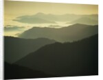 Great Smoky Mountains by Anonymous