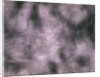 Brushed Aluminum by Anonymous