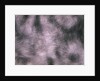 Brushed Aluminum by Anonymous