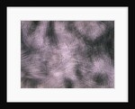 Brushed Aluminum by Anonymous