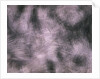 Brushed Aluminum by Anonymous