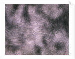 Brushed Aluminum by Anonymous