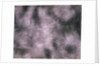 Brushed Aluminum by Anonymous