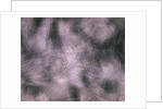 Brushed Aluminum by Anonymous