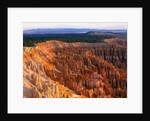 Bryce Amphitheater by Anonymous