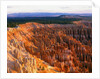 Bryce Amphitheater by Anonymous