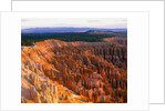Bryce Amphitheater by Anonymous