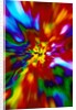 Multicolored Chaos by Anonymous