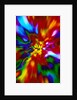 Multicolored Chaos by Anonymous