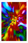 Multicolored Chaos by Anonymous