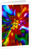 Multicolored Chaos by Anonymous