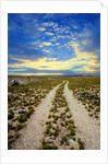Dirt Road in Grand Canyon National Park by Anonymous