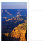 Bright Angel Trail by Anonymous