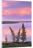 Calm Lake Reflecting Pink Clouds by Anonymous