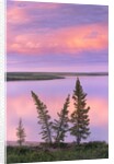 Calm Lake Reflecting Pink Clouds by Anonymous