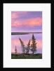 Calm Lake Reflecting Pink Clouds by Anonymous