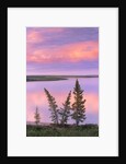 Calm Lake Reflecting Pink Clouds by Anonymous