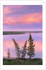 Calm Lake Reflecting Pink Clouds by Anonymous