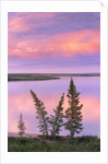 Calm Lake Reflecting Pink Clouds by Anonymous