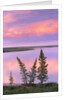 Calm Lake Reflecting Pink Clouds by Anonymous