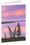 Calm Lake Reflecting Pink Clouds by Anonymous