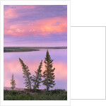 Calm Lake Reflecting Pink Clouds by Anonymous