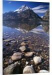 Water Reflecting Teton Range by Anonymous