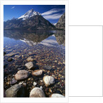 Water Reflecting Teton Range by Anonymous