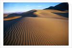 Sand Dunes in Death Valley by Anonymous