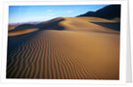 Sand Dunes in Death Valley by Anonymous