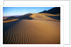 Sand Dunes in Death Valley by Anonymous